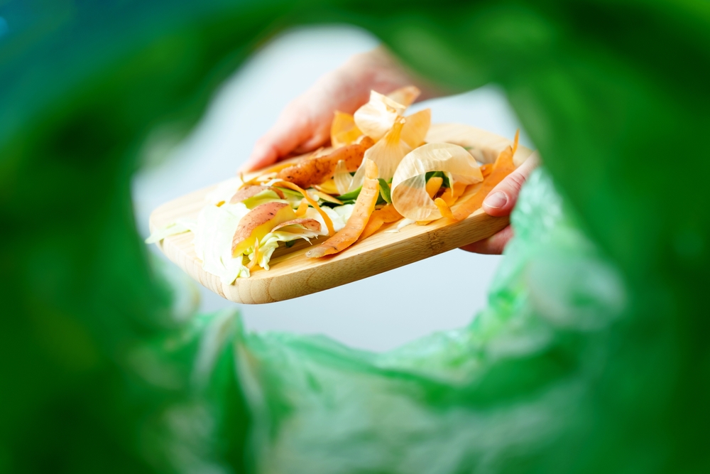 Jak możemy ograniczyć marnowanie żywności?