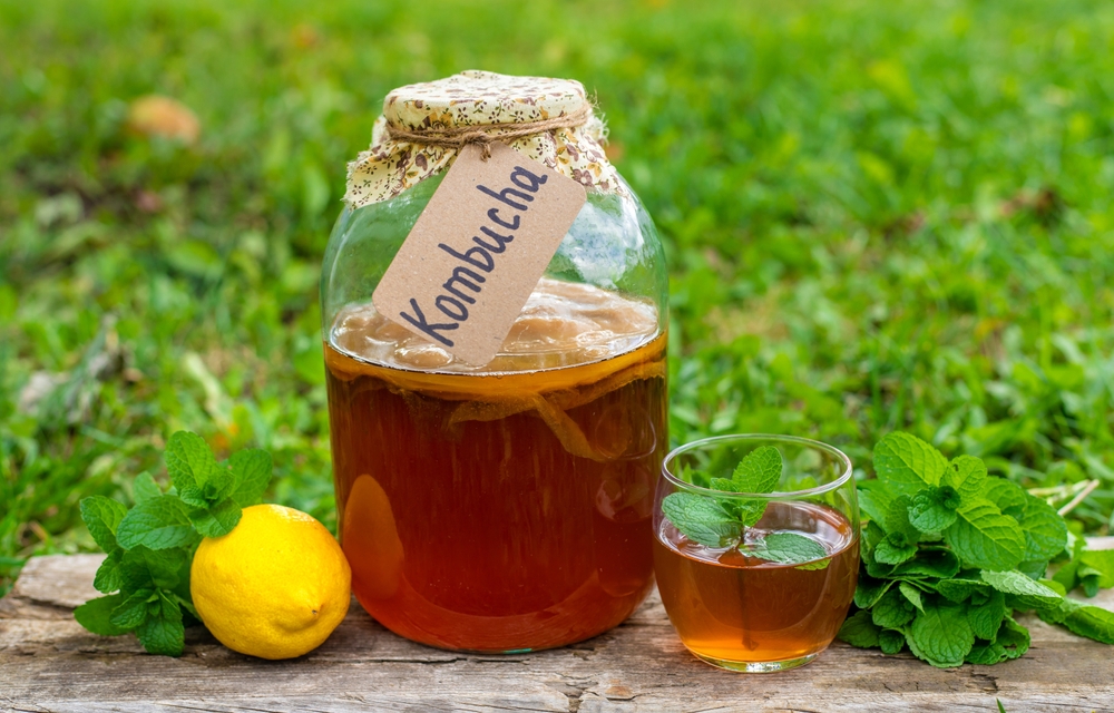 Kombucha – fermentowany eliksir zdrowia